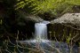 Bảy thác nước tiềm ẩn Izu