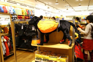 <p>Hiking gear for your dog? They&#39;ve got it.&nbsp;</p>
