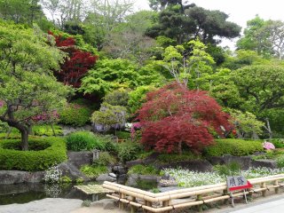 สวนญี่ปุ่นแท้
