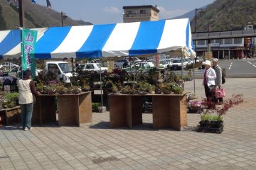 <p>A stall selling potted plants</p>