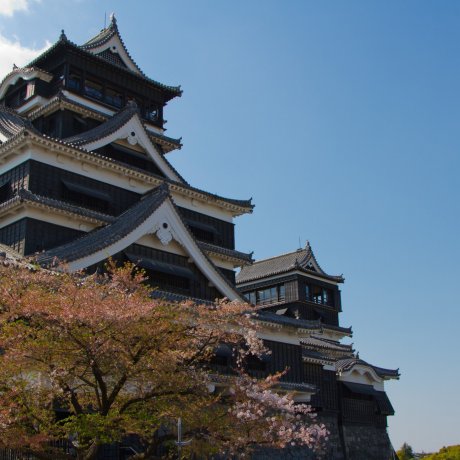 Kumamoto Castle in Spring