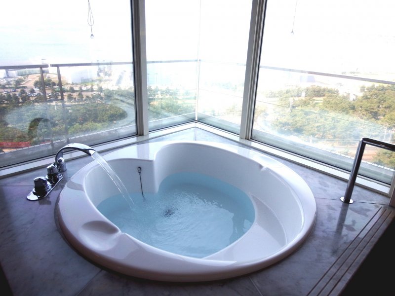 <p>Heart-shaped bathtub in motion...how about a morning bath looking out at the beautiful bridge through a big glass window?</p>