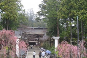 <p>The Entrance. It is said that Kobo Daishi (the Japanese famous monk who propagated Buddhism in Japan) referred to the whole mountain as Kongobuji</p>