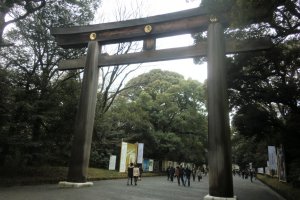 Meiji Jingu - Tokyo's most famous shrine