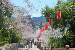 View of the main castle entrance&nbsp;during hanami season. &nbsp;Tankaku&nbsp;Castle is one of the best spots in Shingu to enjoy cherry blossoms in spring.