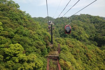 <p>Up, up and away on the ropeway</p>