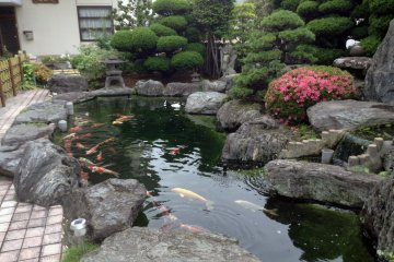 <p>Many temples have gardens, and some of those include koi&nbsp;ponds</p>
