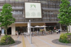 The terrace