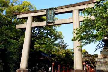 교토 히가시야마 도요쿠니 신사의 문과 푸른 나무