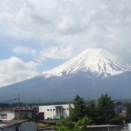 หนึ่งวันกับภูเขาฟูจิ ที่ฟูจิโกะโคะ 