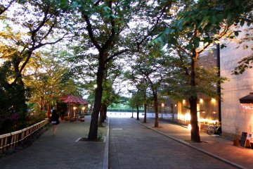 ถนนชิระกะวะ เกียวโต
