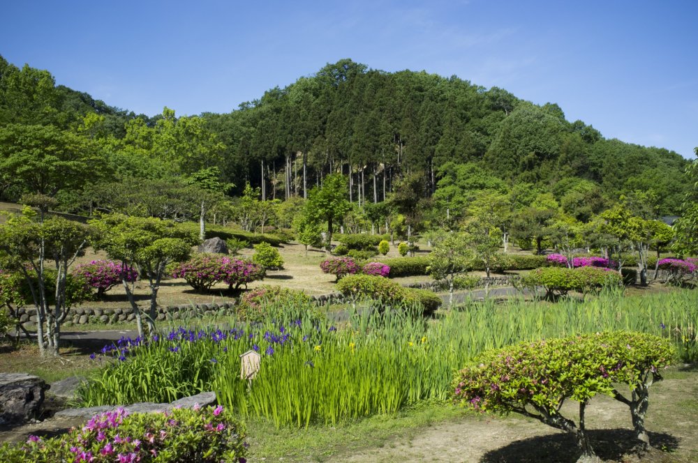 สวนอะจิมะโนะที่งดงามเป็นที่เก็บหินแกะสลักคำกลอน Manyōshū (万葉集) ทั้ง 15 คำกลอน