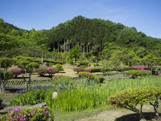 สวนอะจิมะโนะที่งดงามเป็นที่เก็บหินแกะสลักคำกลอน Manyōshū (万葉集) ทั้ง 15 คำกลอน