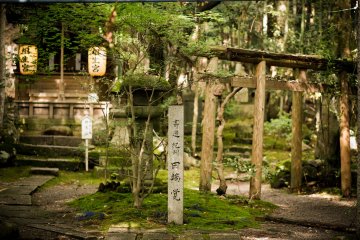 <p>The mesmerizing&nbsp;pathways and small shrines</p>