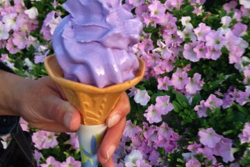공원에서 살 수 있는 독특한 리스테리아 맛의 부드러운 아이스크림을 놓치지 마십시오. 멋진 달콤한 맛, 특히 공원을 오래 산책한 후에도 상쾌하다