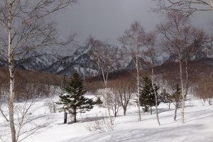 Kagami-ike in winter, viewed from the deck of Donguri House.