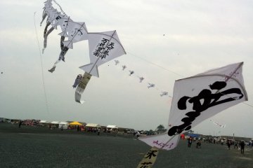 <p>An almost 30 meter string of kites, with well wishes written on them, soar into the sky</p>