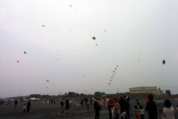 <p>The kites of the festival fly freely</p>