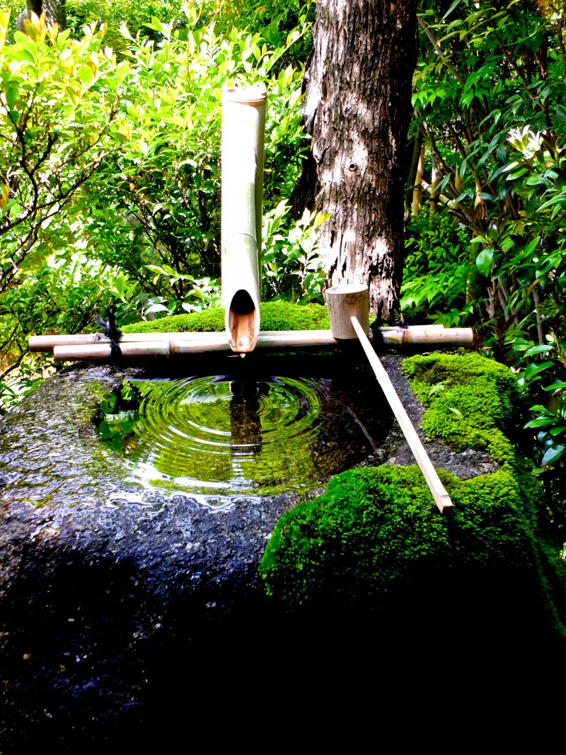 <p>This moss covered fountain at Daiho-in Temple was extremely beautiful</p>