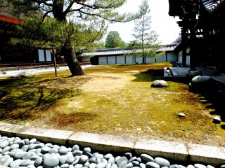 A moss-covered court yard