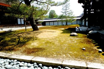 <p>A moss-covered court yard</p>