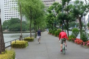 Joggers and cyclists sharing the path &nbsp;