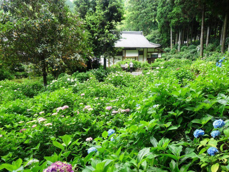 <p>Сад за храмом наполнен цветом</p>