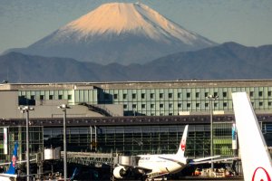 JAL Boeing 777 at Tokyo Haneda International Airport