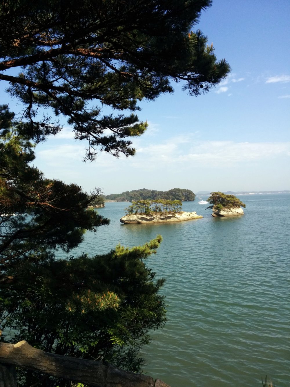 Pulau Oshima menawarkan pemandangan teluk yang indah di mana Matsushima terkenal dengan berbagai pohon pinus yang menutupi pulau.
