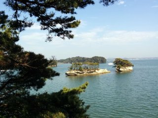 Pulau Oshima menawarkan pemandangan teluk yang indah di mana Matsushima terkenal dengan berbagai pohon pinus yang menutupi pulau.
