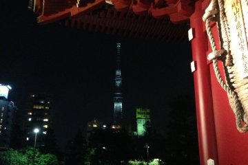 <p>I could see SkyTree from Sensoji. It was an interesting combination of old and new</p>