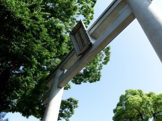 Looking up at the torii gate of Shirahige Shrine in Fukui city