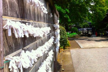 <p>Omikuji at the entrance of the temple</p>