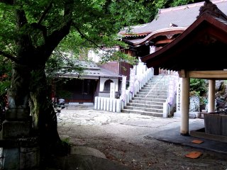 Cây cối và khung cảnh thanh tịnh trên khuôn viên chùa Fudoji