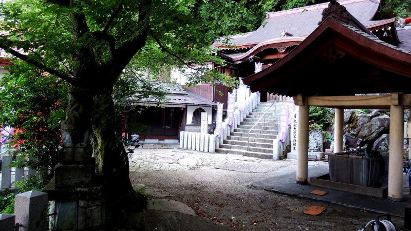 <p>Trees and the purification font on the grounds of Fudoji Temple</p>