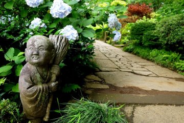 <p>Small sweeper under the pale blue hydrangeas</p>