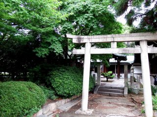 Có những cổng Torii nhỏ ở góc của khu đền Hōkoku trông thật đẹp