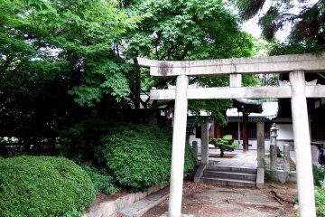 <p>There are small Torii gates in the corner of Hōkoku Shrine&#39;s grounds which looked really pretty</p>