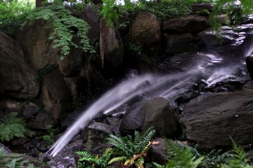 <p>This is the &#39;Reverse Falls&#39;. The water blows out from a lower place to higher place. I see! It&#39;s defying nature!</p>