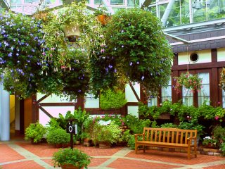 เรือนกระจกที่อยู่ตรงกลางของ Kobe Nunobiki Herb Gardens เหมาะแก่การพักผ่อนเติมพลังด้วยสีเขียวของนานาพรรณพืช