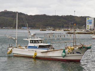A vessel specializing in squid fishing