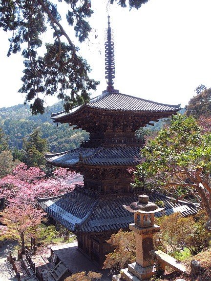 <p>an incredible view of &quot;sanjyu no yo&quot; three-storied pagoda that was built in 1171.</p>