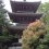 Shinagawa’s Tozen-ji Temple
