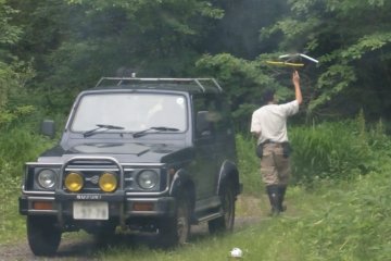<p>Once the bear has been released back into the wild, the team tracks it with radar to make sure it&#39;s not coming back</p>