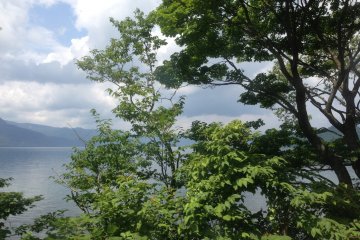 <p>Beautiful contrast during the Aomori summer</p>
