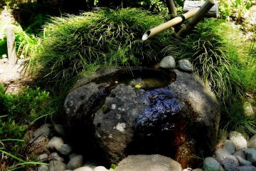 <p>One of several water basins in the garden around the house</p>