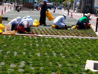 The park is kept in good shape by the diligent, hard-workers of Aomori