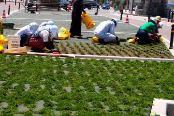 <p>The park is kept in good shape by the diligent, hard-workers of Aomori</p>