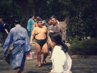 The sumo wrestlers arrive early and mingle with fans as the stroll through Yasukuni Shrine towards the arena