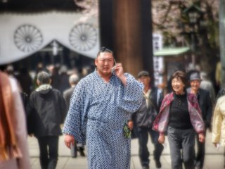 Des lutteurs sumo ont l'air déconstractés et heureux de chatter avec leurs admirateurs. 